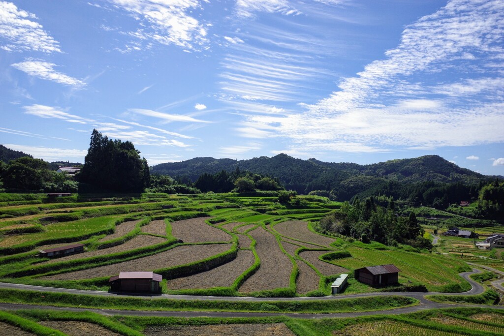 秋の棚田
