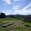 秋の棚田