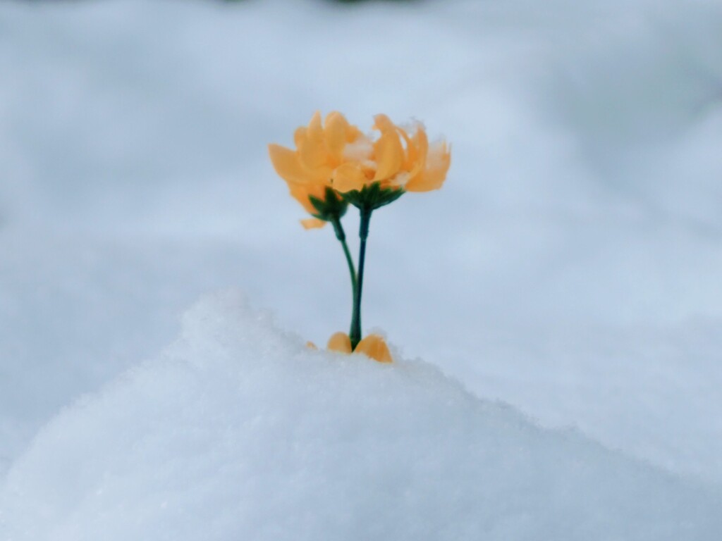 …