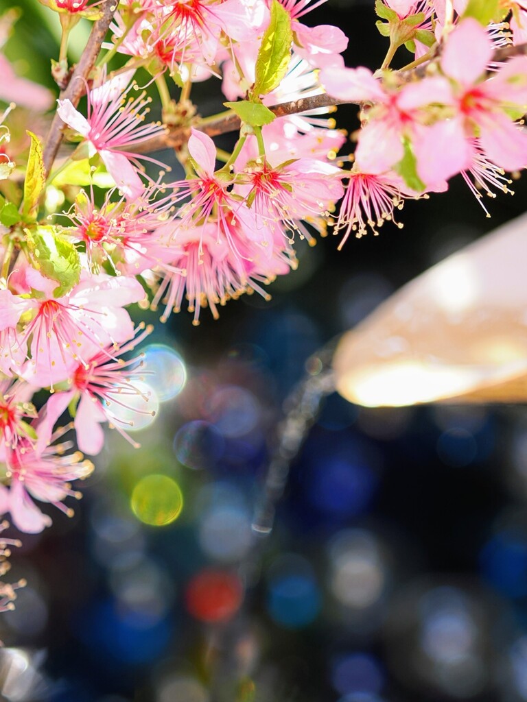 花手水