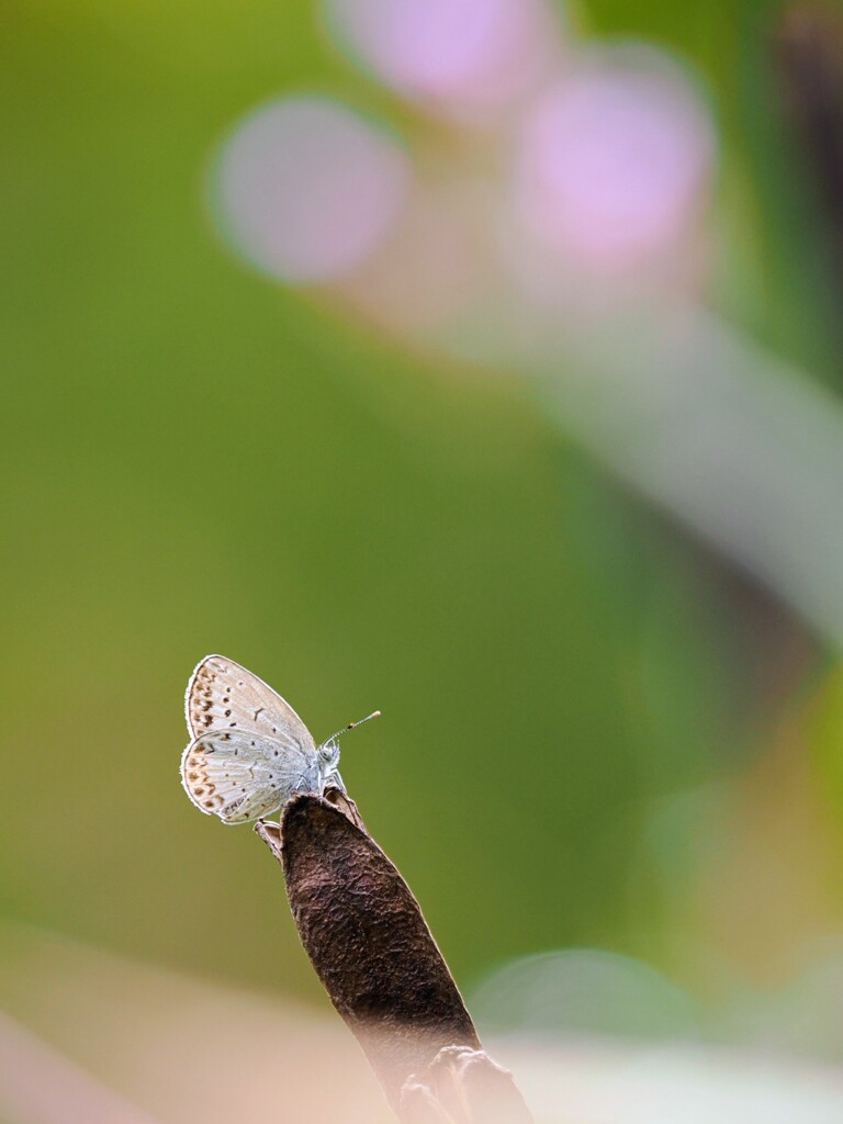 寝起きかな