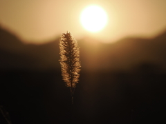 新年あけましておめでとうございます
