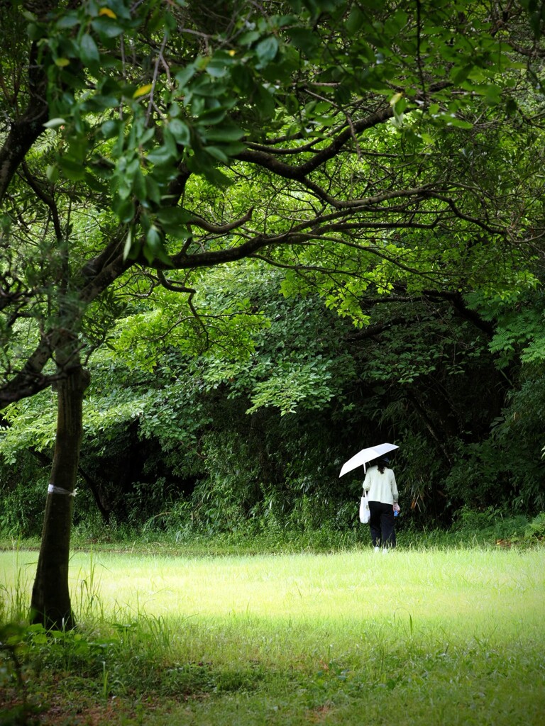 小雨