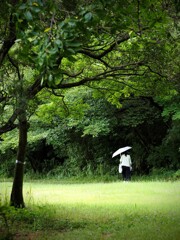 小雨
