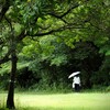 小雨
