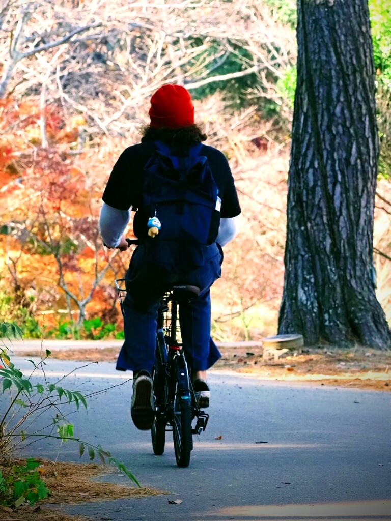 サイクリング