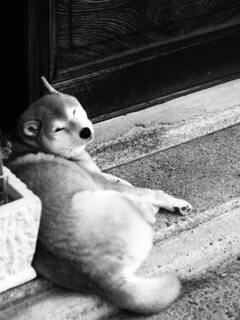 何かありました？