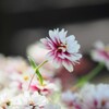 時間よ止まれ