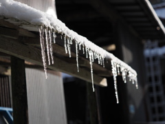 雪どけ