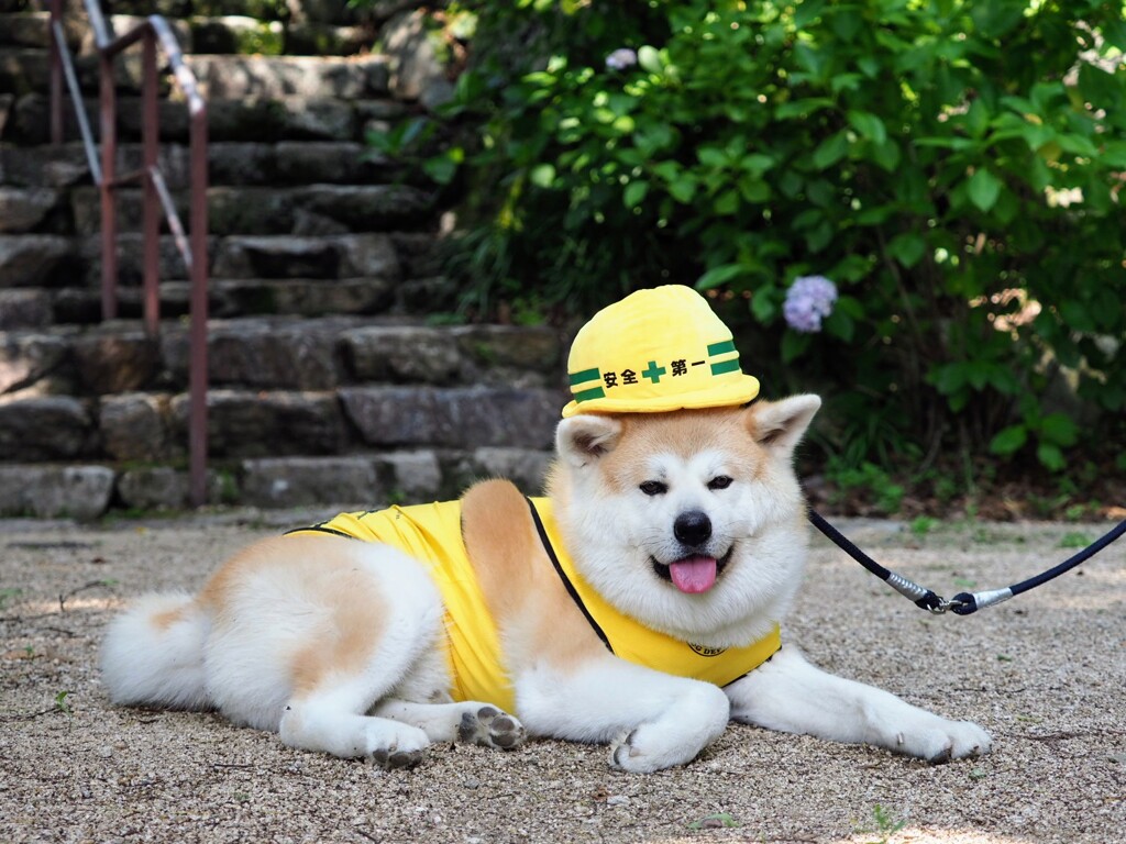 安全第一