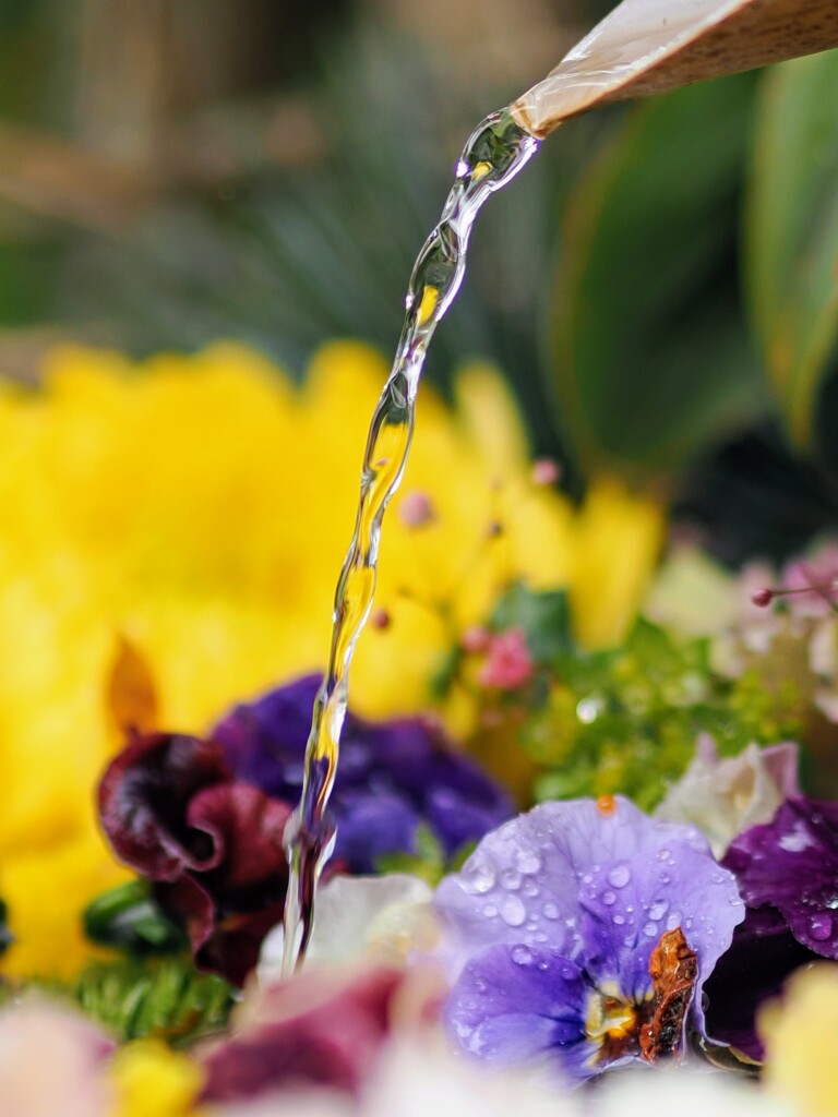 花の階段