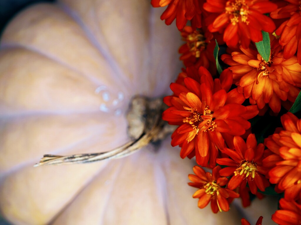 ハッピーハロウィン