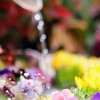 花手水
