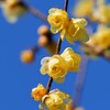 青空に