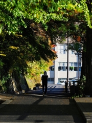 赤と緑と黄色の波