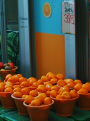 寒い日は、こたつでみかんを…