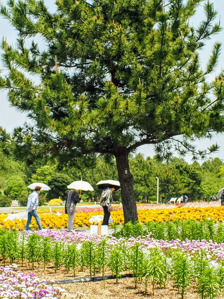 お友達とお散歩