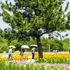 お友達とお散歩