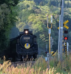 D51