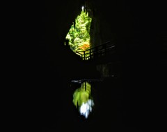 山口県秋芳洞(洞窟の中から出入口)