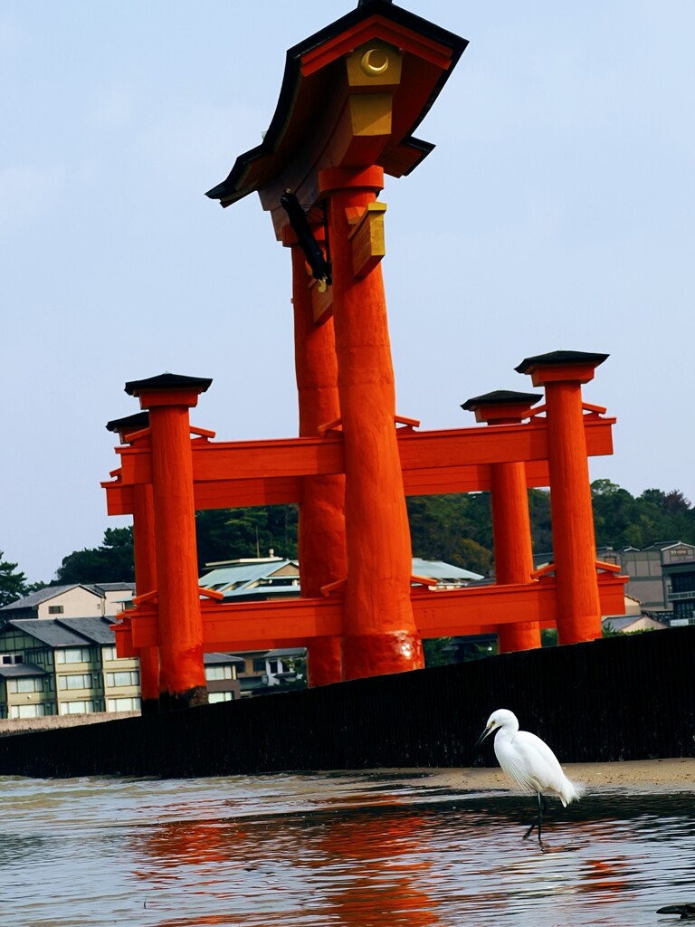 良いお年をお迎えください