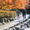 秋の散歩