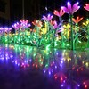 花壇がキラキラ