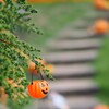 ハロウィン