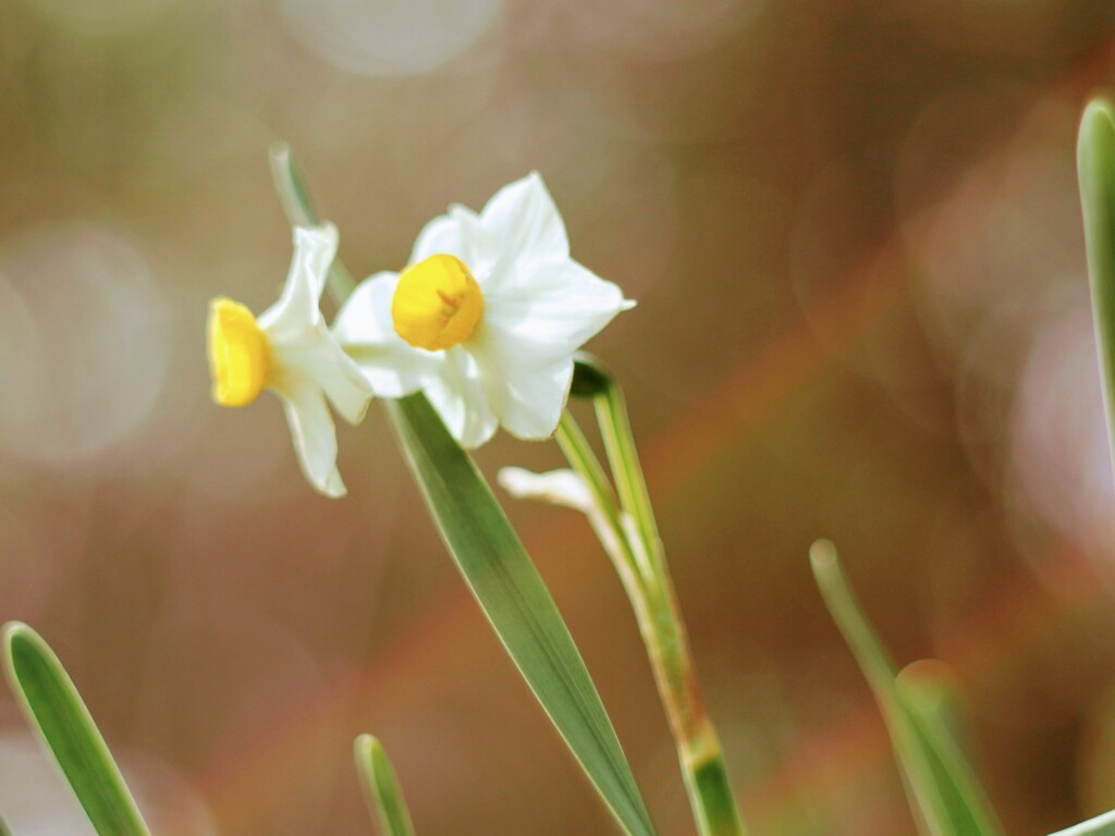 …