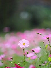 みんな〜集合