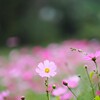 みんな〜集合