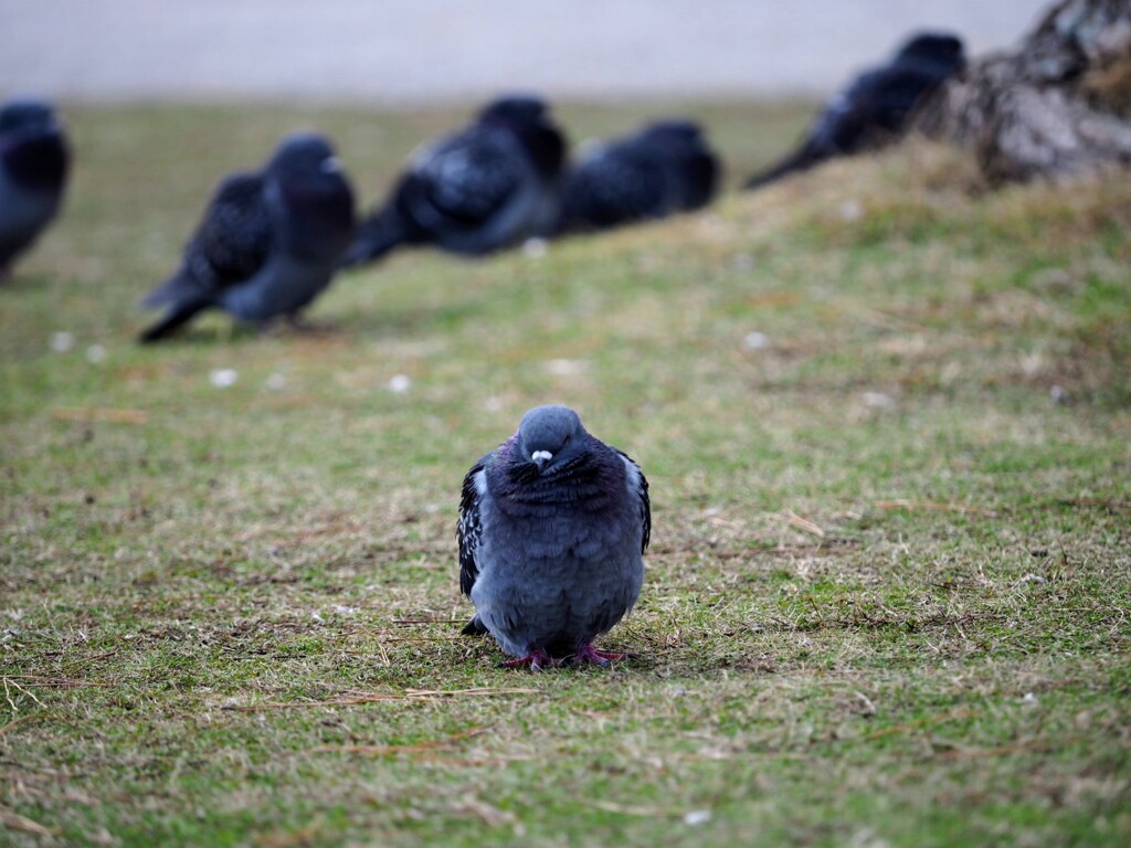 寒っ！