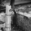 竹に守られる
