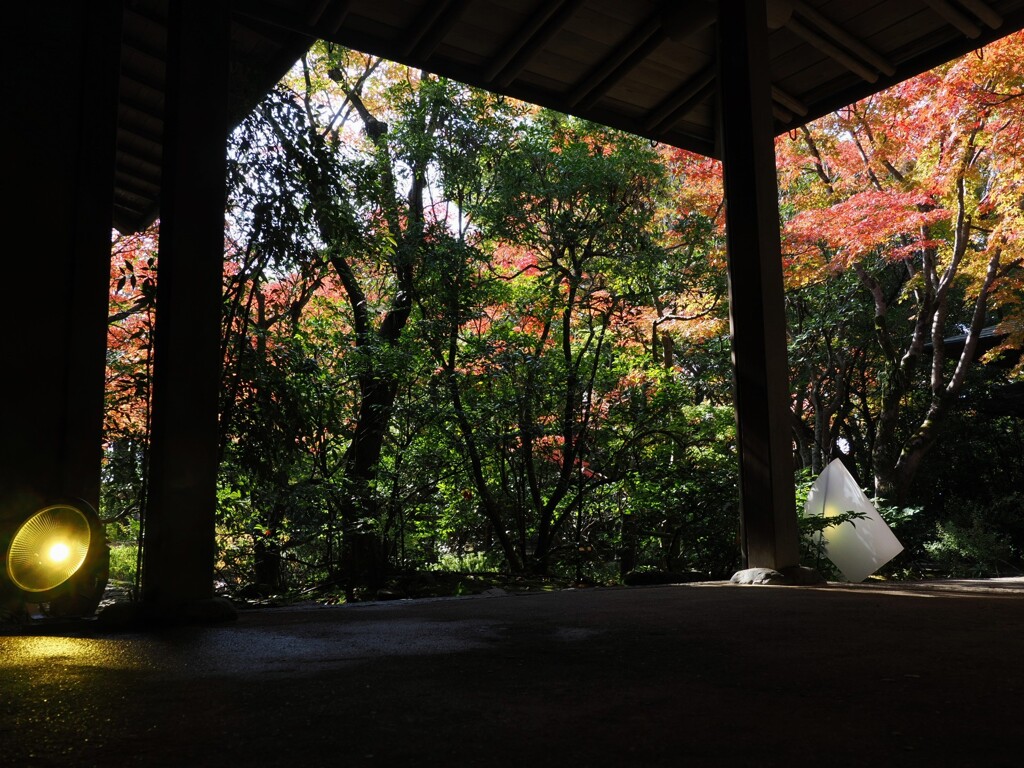 茶室の出入り口