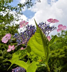 空に向かって