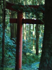 日が当たるまでの時間