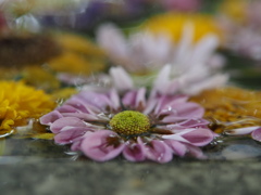花手水