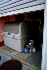 番犬