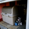 番犬