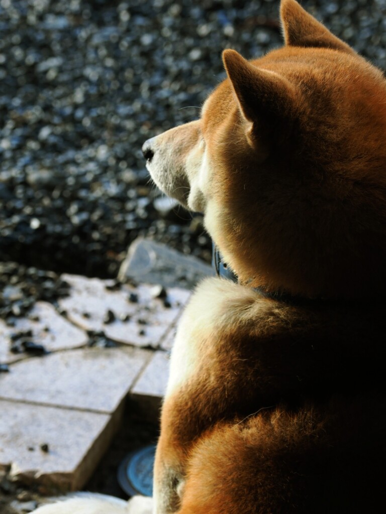 朝日が暖かい