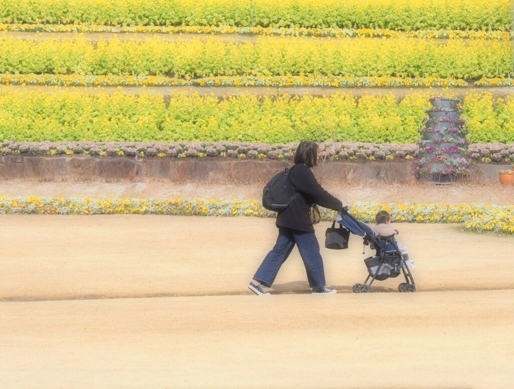 お散歩