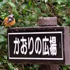 何かに誘われて
