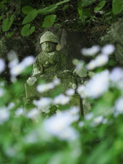 新緑の中に