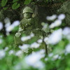 新緑の中に