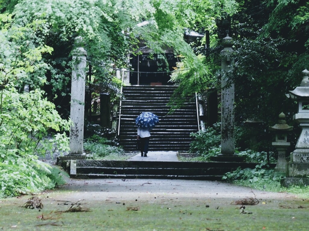 雨降りの神道