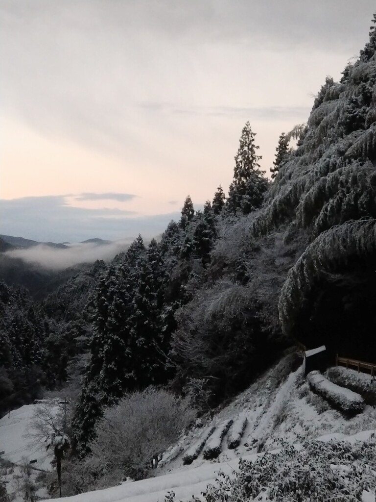 雪化粧