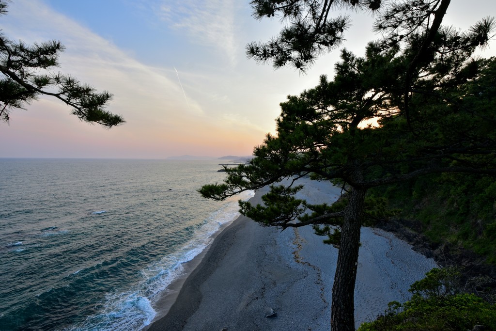 海