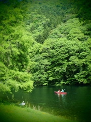 気持ち良さそう…