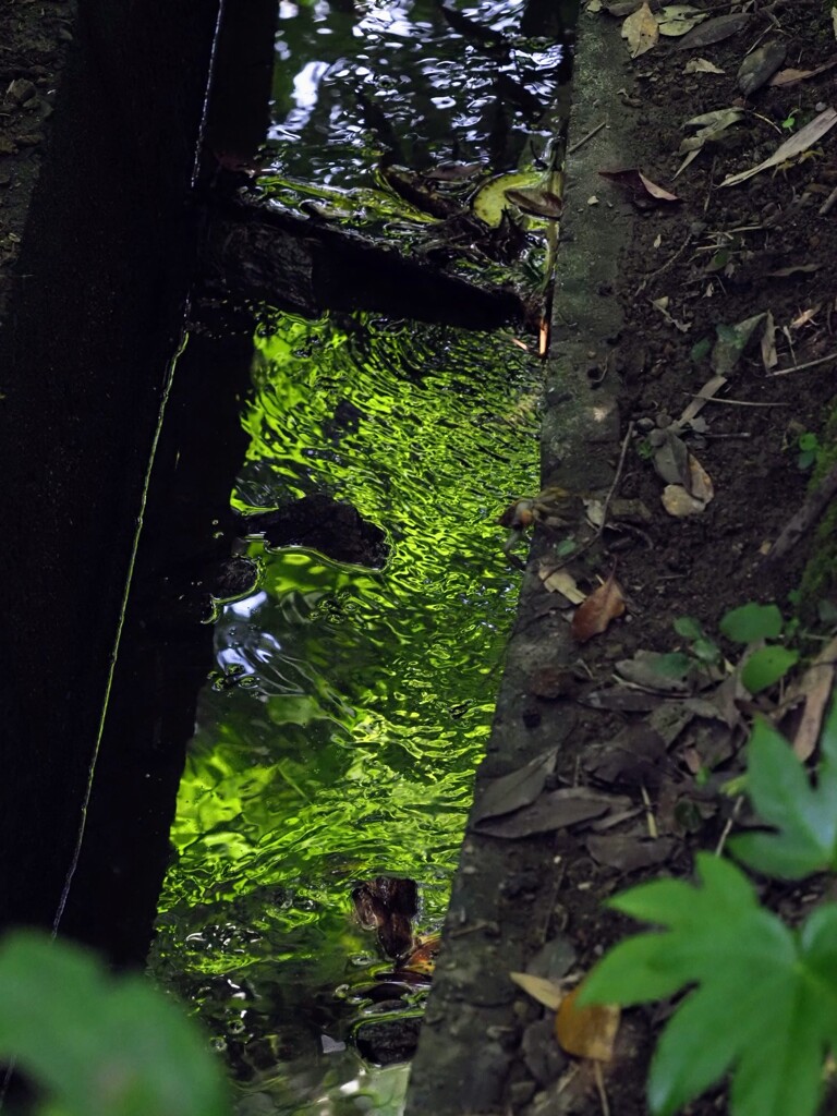 山の中の水路