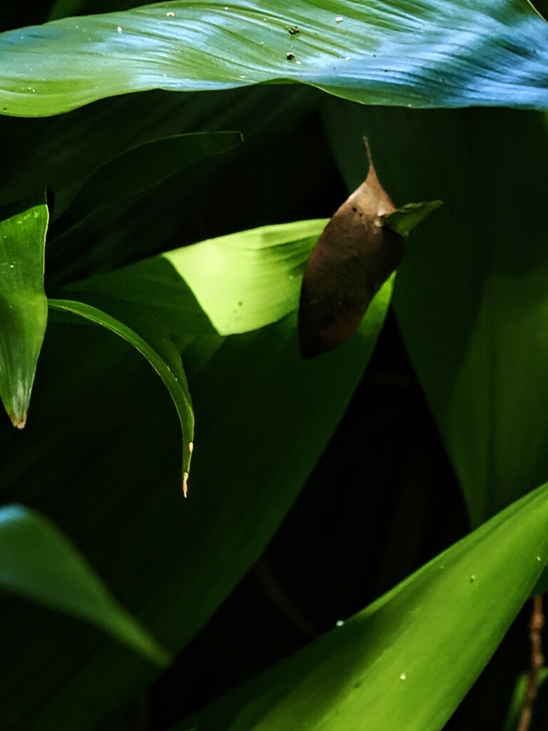 突き刺さる